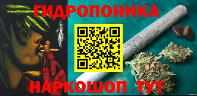 a pvp Будённовск