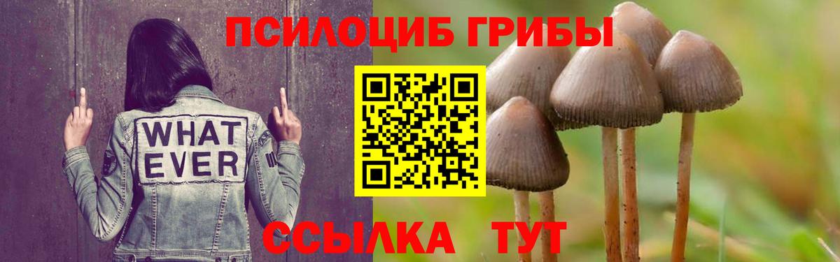 Галлюциногенные грибы Magic Shrooms  Псилоцибиновые грибы Psilocybine cubensis  Вход с VPN  Нарьян-Мар 